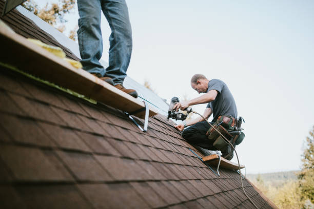 Professional Roofing Contractor in Camino Tassajara, CA